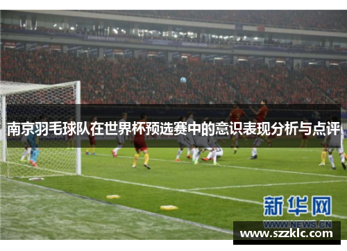南京羽毛球队在世界杯预选赛中的意识表现分析与点评