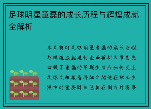 足球明星童磊的成长历程与辉煌成就全解析
